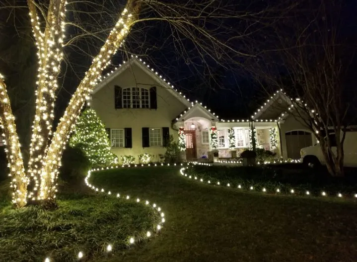 A home and its trees in warm white with a lit path across the lawn