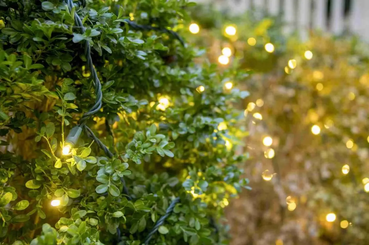 Professional tips for bright holiday lights