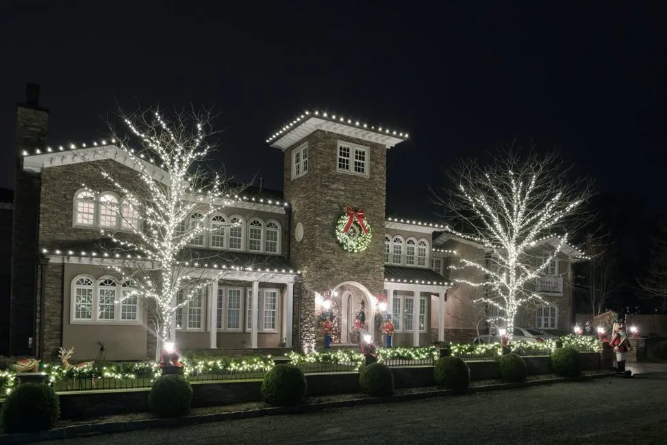 A home and its trees lit entirely in cool white
