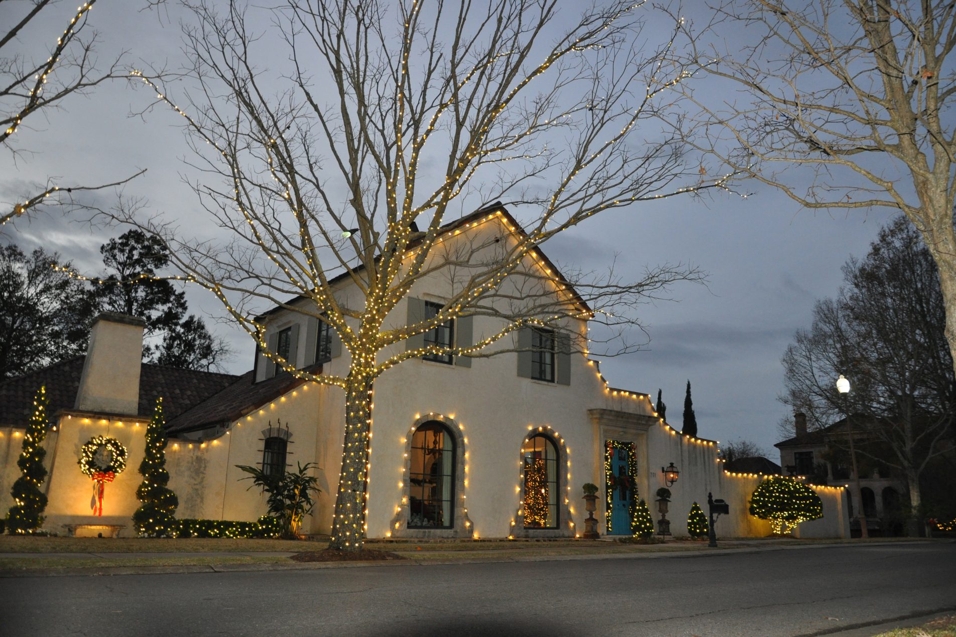 Single-color vs multi-color holiday lights comparison