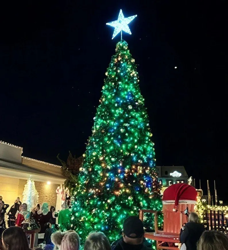 A municipal tree lighting event