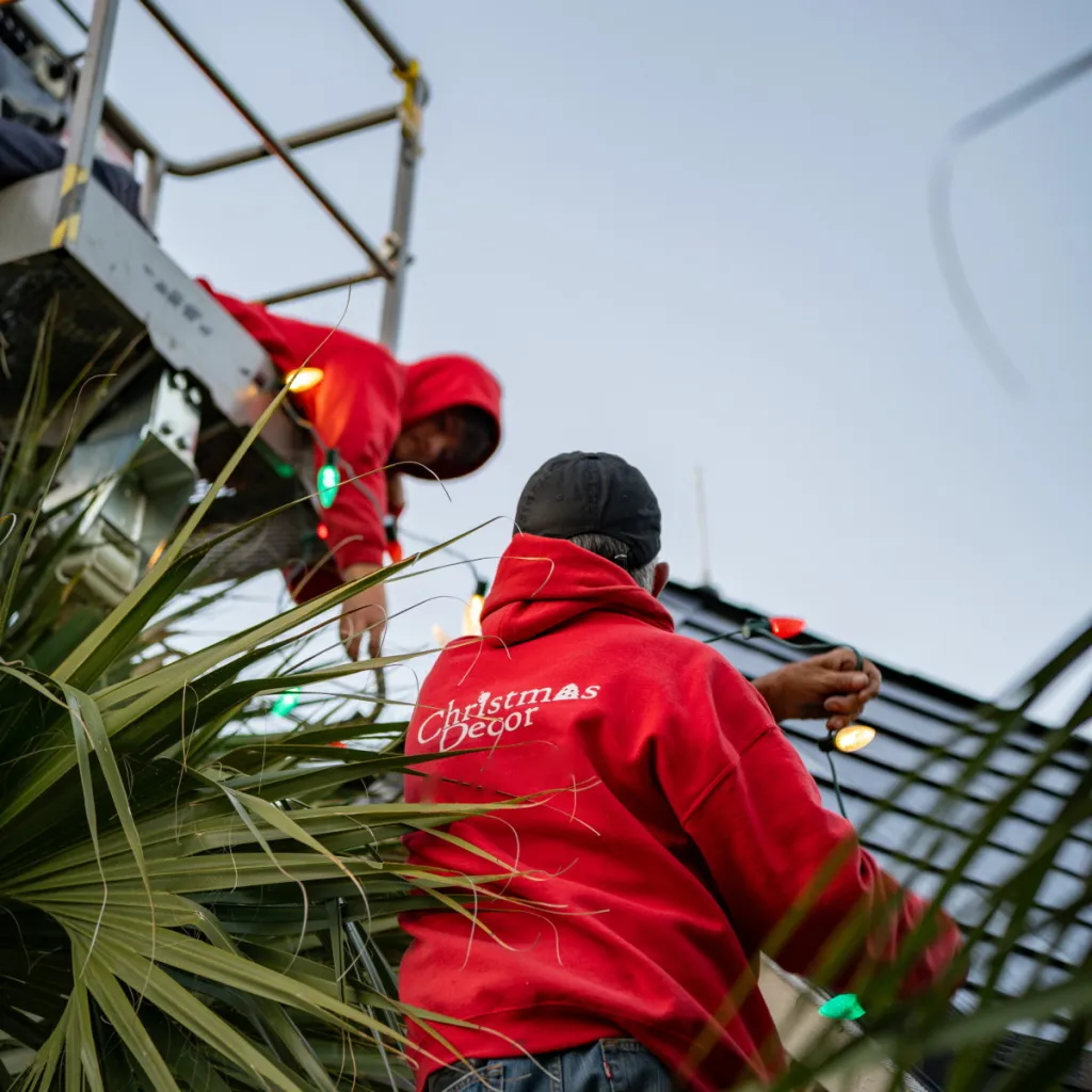 Professional installation of commercial-grade LED holiday lights
