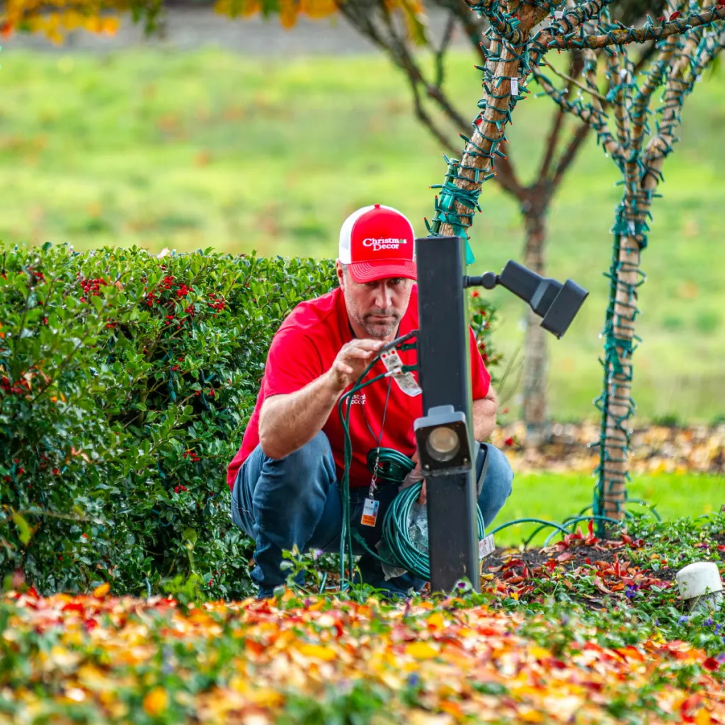Holiday light maintenance and repair service