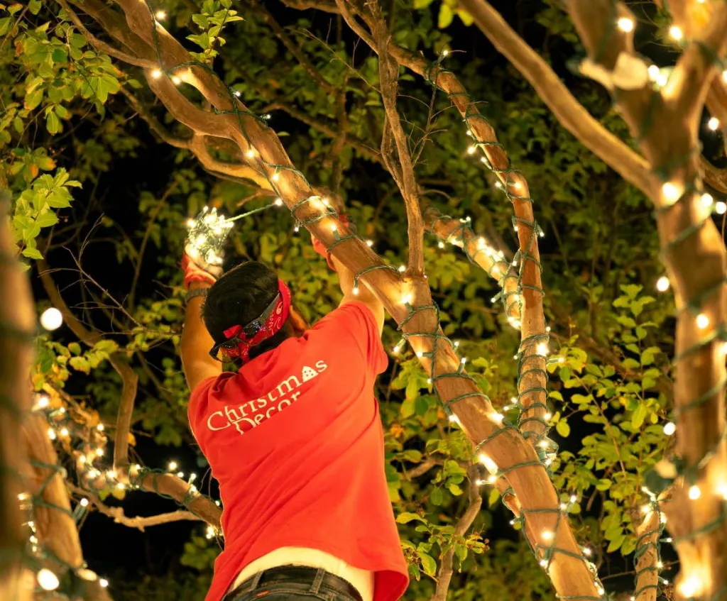 Holiday light maintenance and storm repair