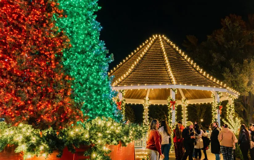 Event lighting and holiday event decorations