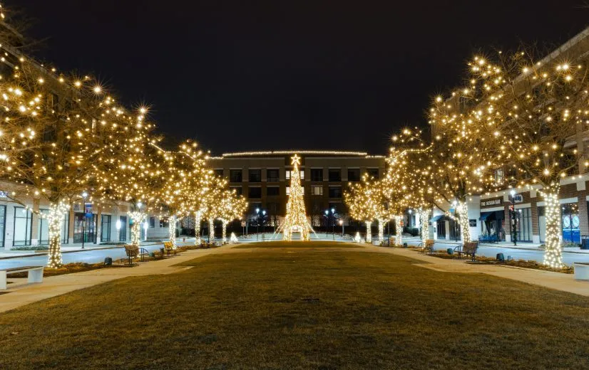 Municipal holiday lighting installation