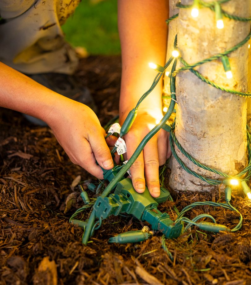 Hands setting a commercial-grade connector at the base of a lit tree