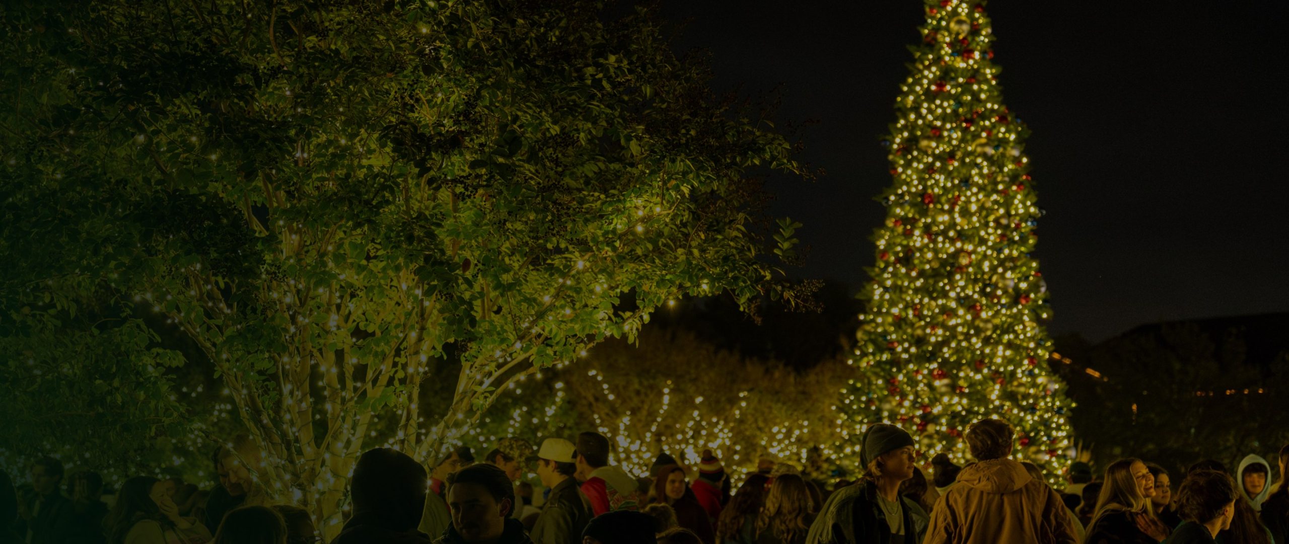 A crowd around a lit community tree at a town tree lighting