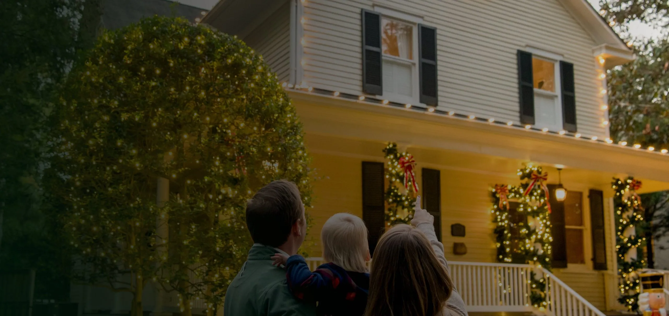 Professional holiday light installer near you
