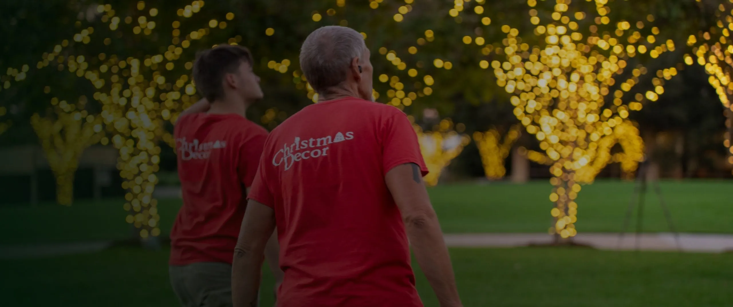 Professional lighting services - residential to permanent