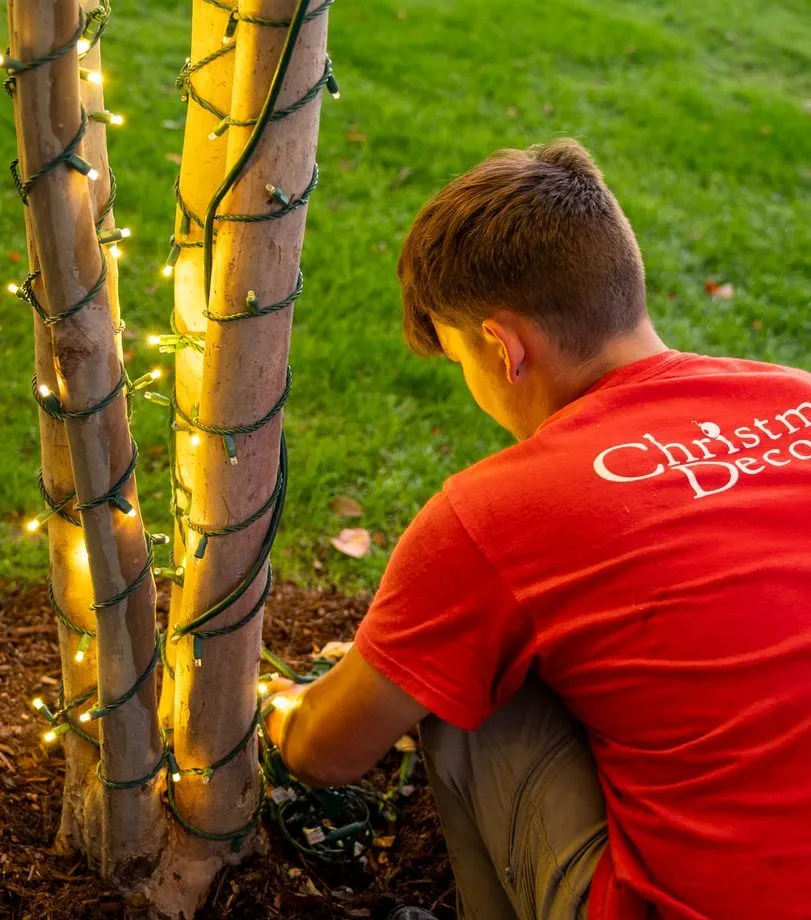 A decorator wrapping a tree trunk in warm white lights