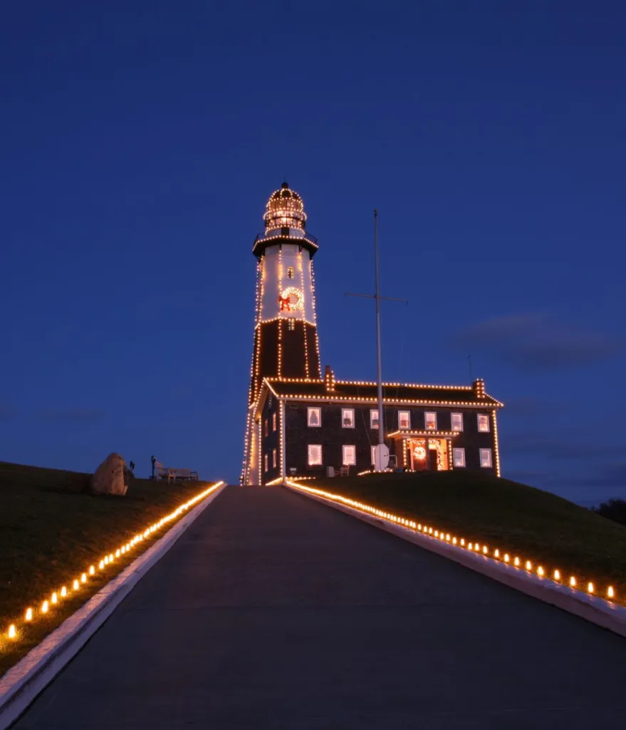 Custom specialty lighting element